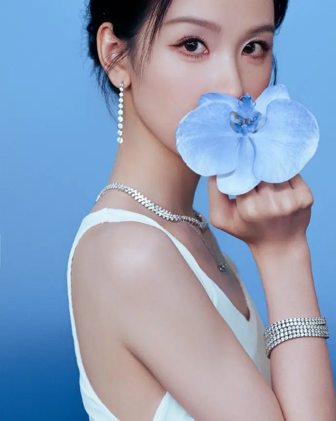 盗版资源传播路径示意