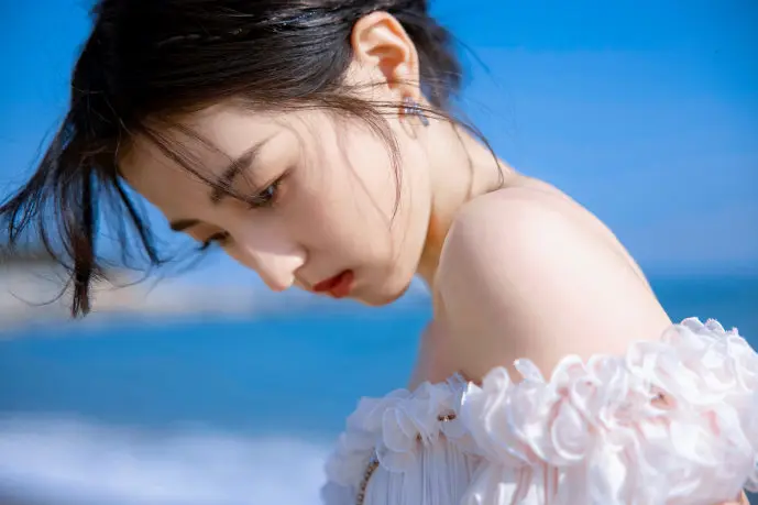 Skype全球用户分布